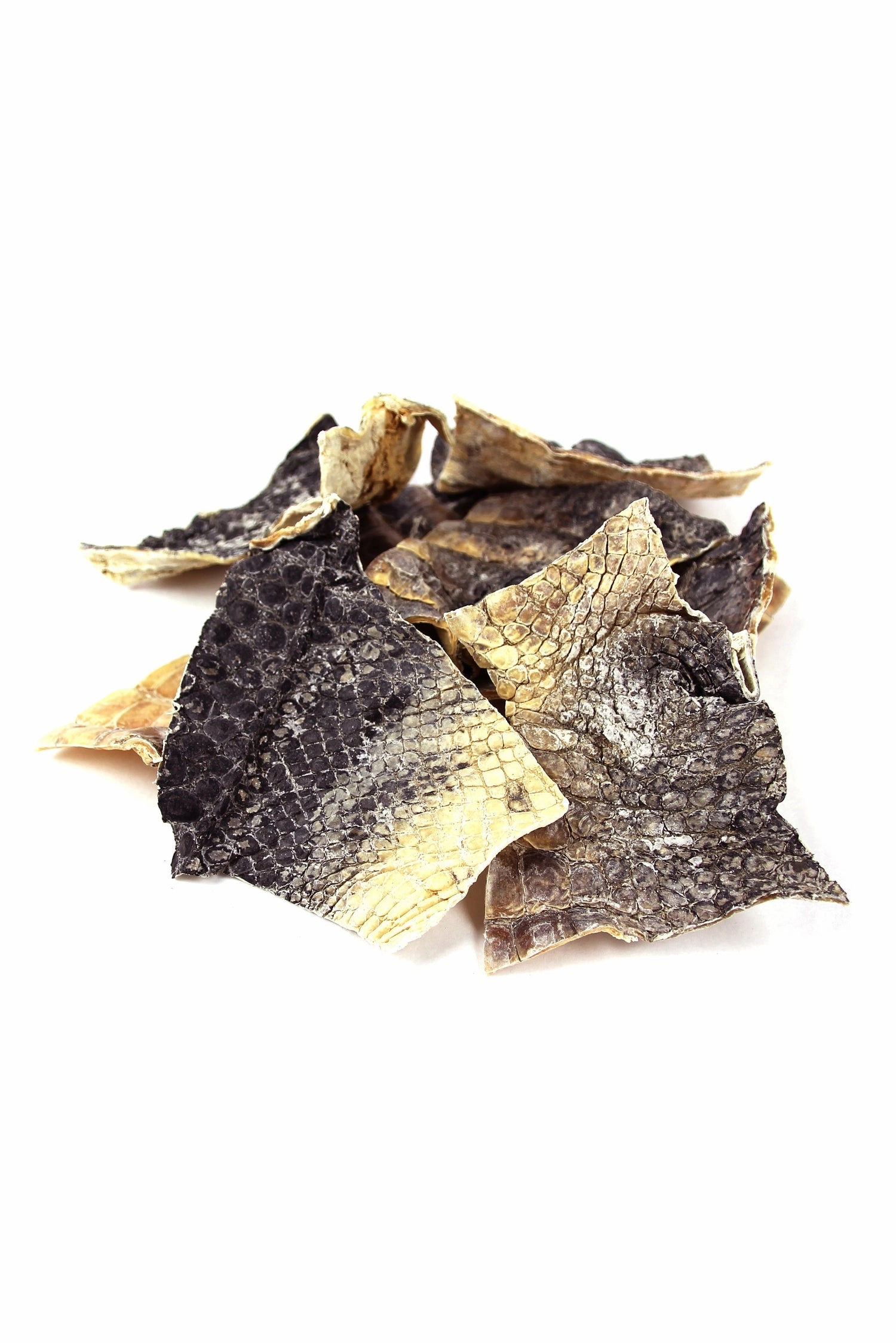 Tuesday's Natural Dog Co. Gator Dog Chews