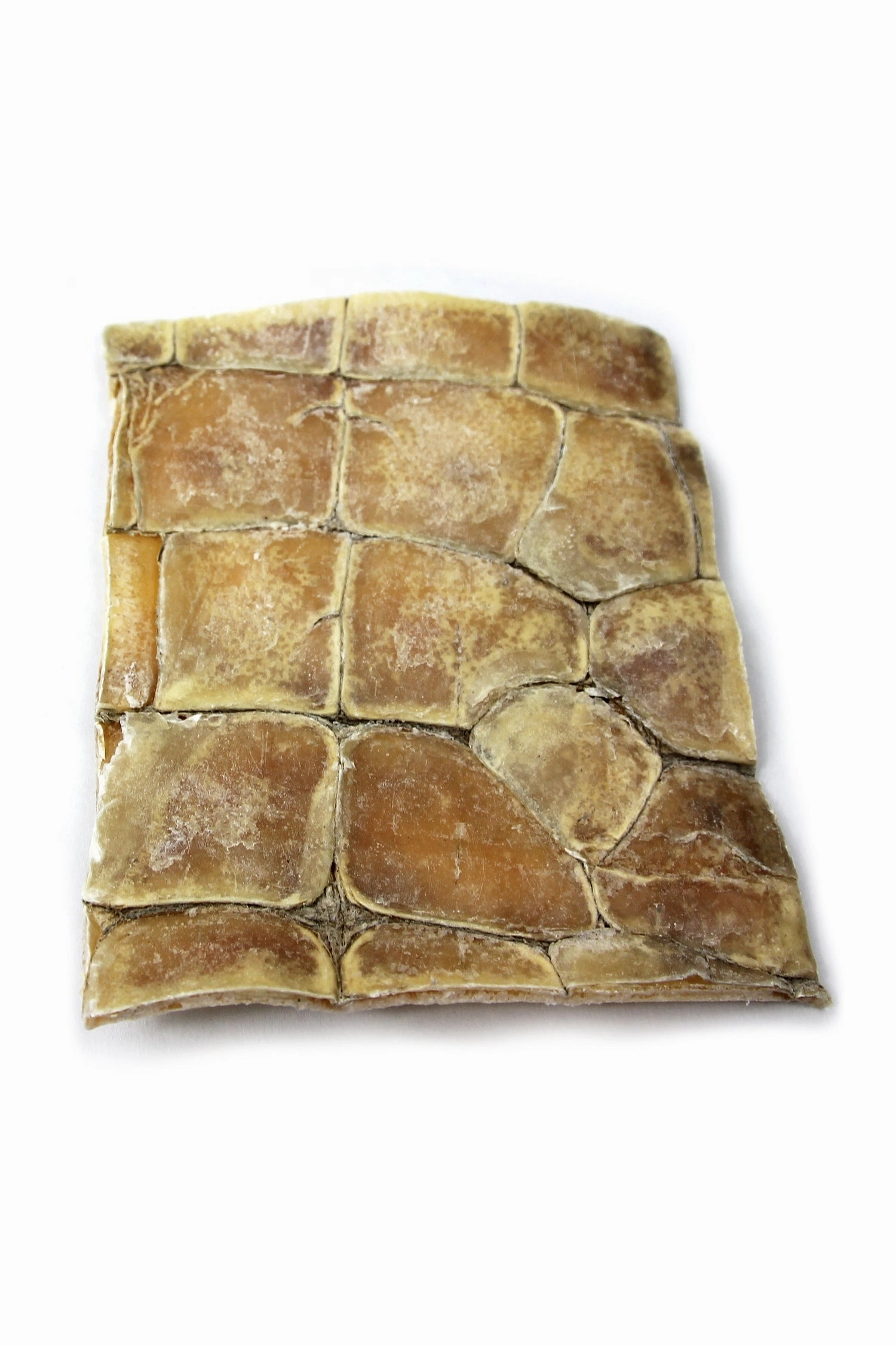 Tuesday's Natural Dog Co. Gator Dog Chews