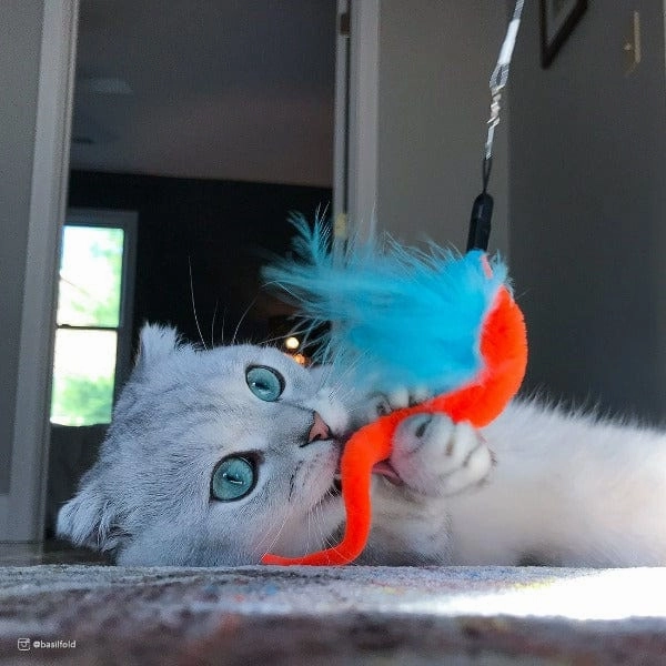 Turbo Turbo Tail Telescoping Teaser Cat Toy