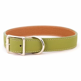 Tuscan Leather Dog Collar Green