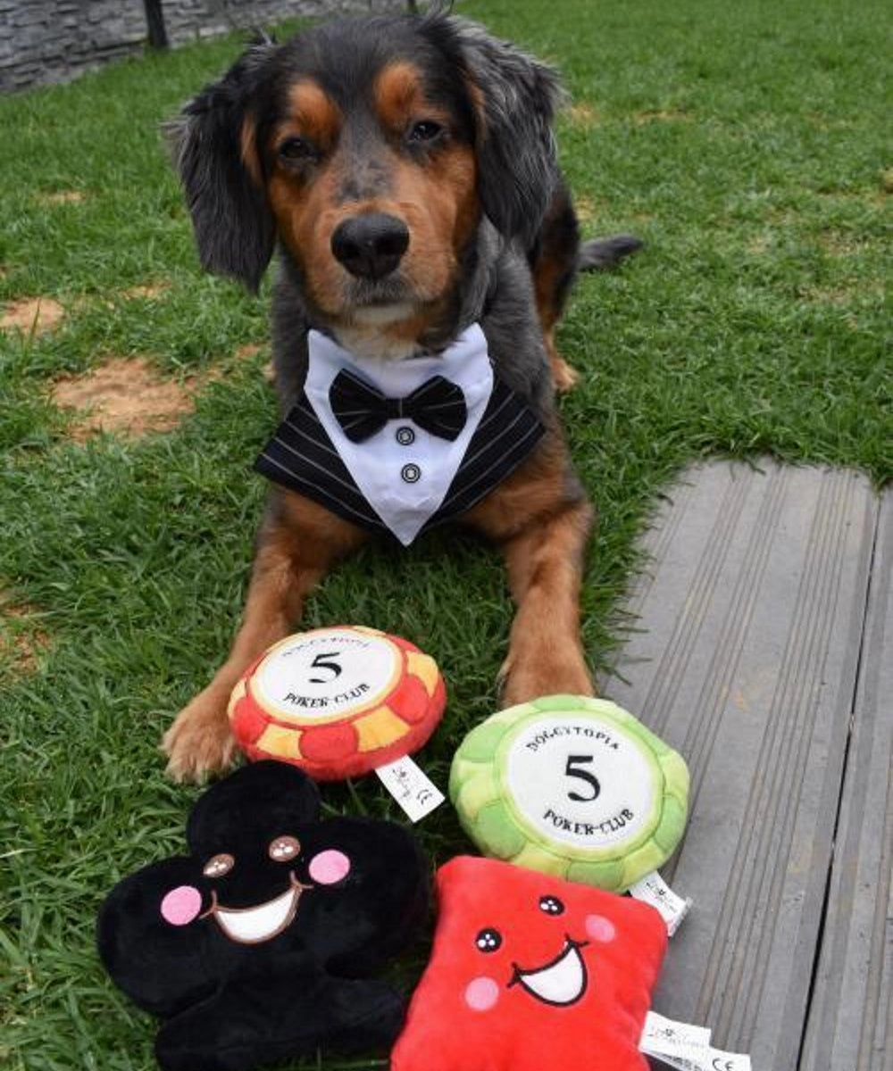 Tuxedo Dog Bandana - Black
