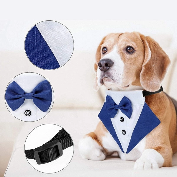 Tuxedo Dog Bandana - Blue