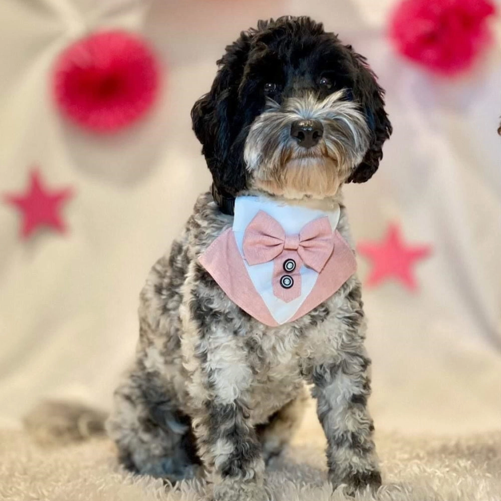 Tuxedo Dog Bandana - Dusty Pink