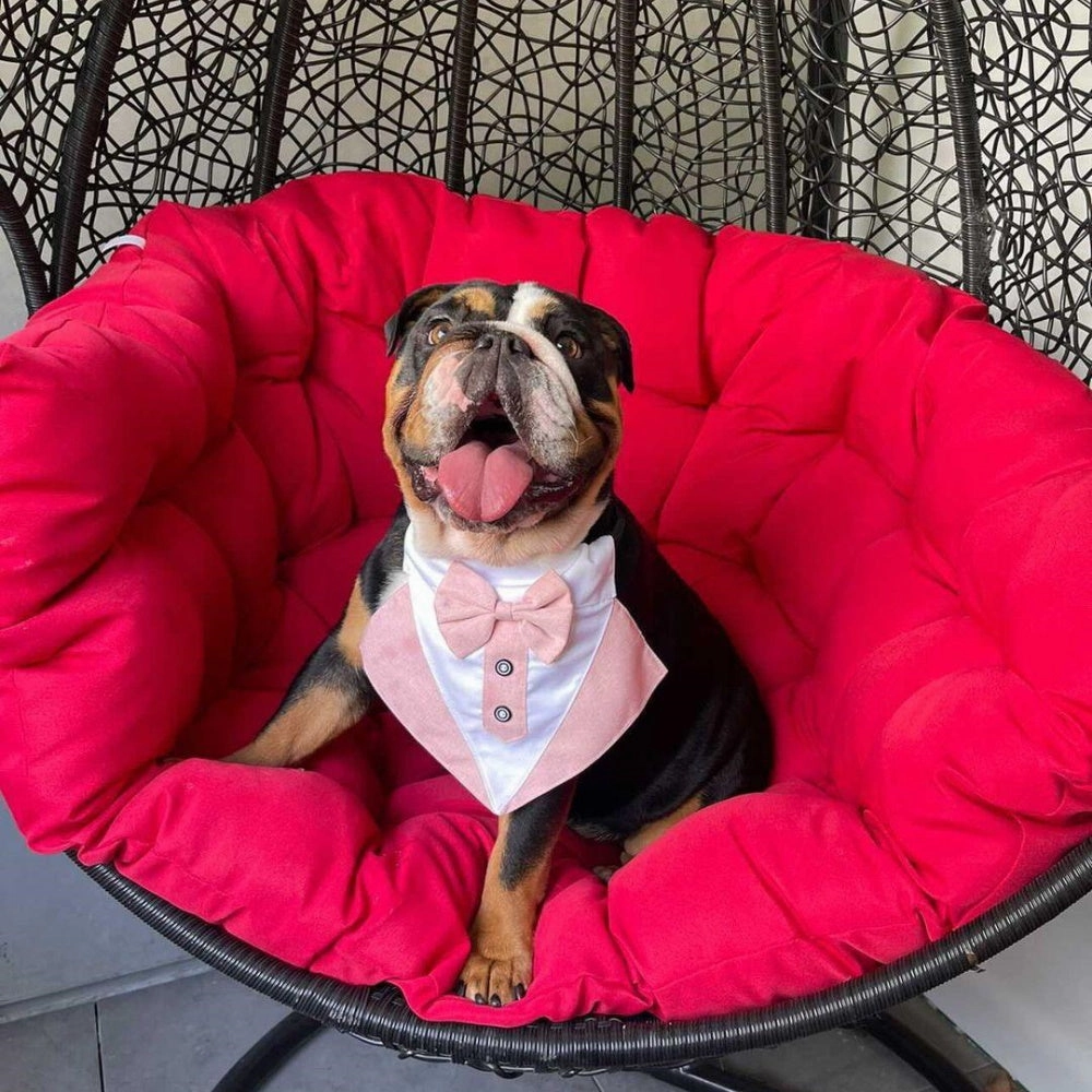 Tuxedo Dog Bandana - Dusty Pink