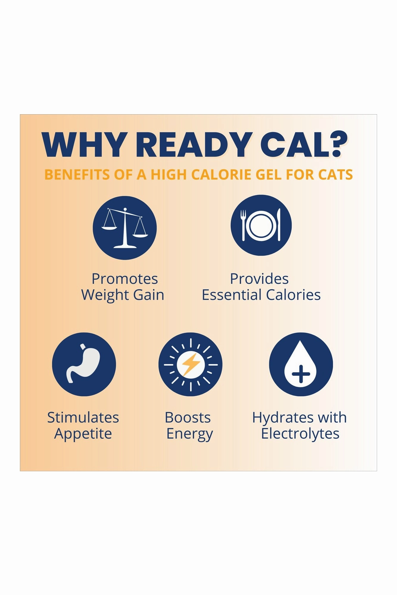 Under the Weather Ready Cal Plus   Electrolytes Squeezable for Cats