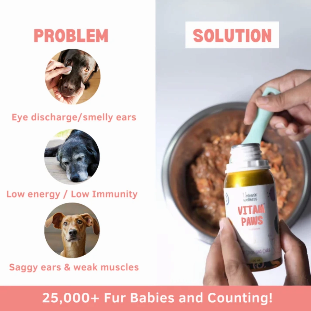 Unleash Wellness Vitam Paws Multivitamin Supplement for Dogs and Cats