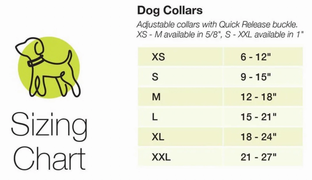 Up Country Howdy Dog Collar