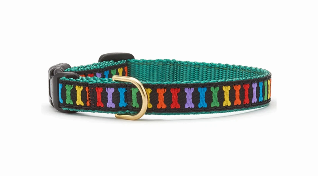 Up Country Rainbones Dog Collar
