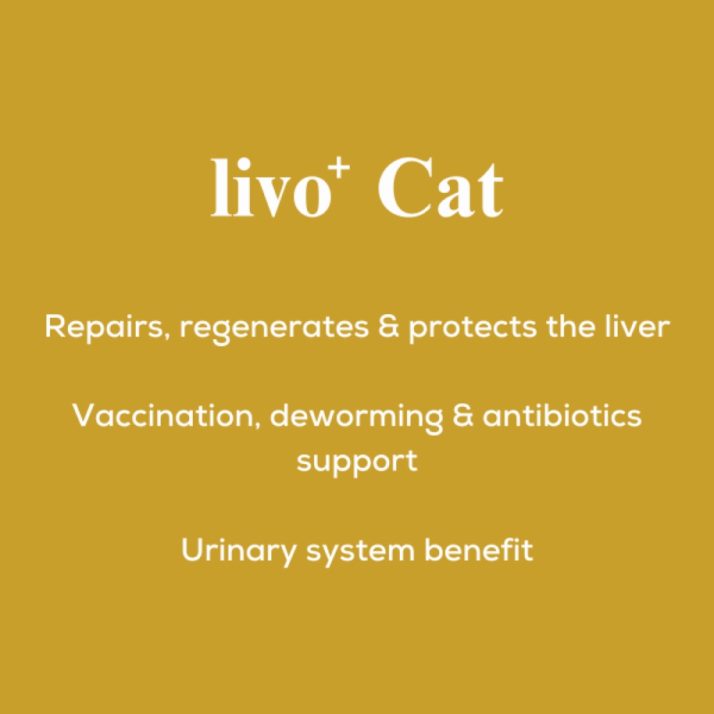 Venttura Liver Repair, Support Recovery & Recuperation Supplement for Cats