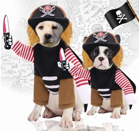 Vetopia Costume - Buccaneer
