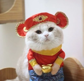 Vetopia Costume - Chinese New Year God of Wealth