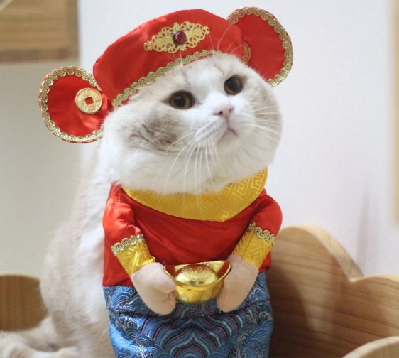 Vetopia Costume - Chinese New Year God of Wealth