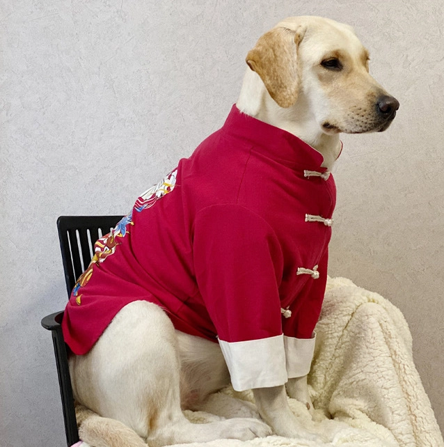 Vetopia Costume - Chinese New Year Red Tong Jacket