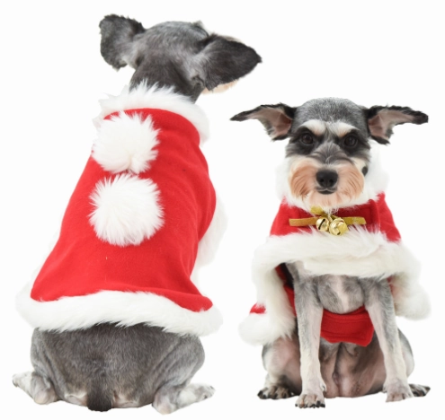 Vetopia Costume - Christmas Cloak