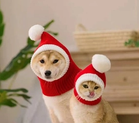 Vetopia Costume - Christmas Hat