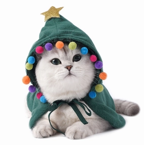 Vetopia Costume - Christmas Tree Shawl