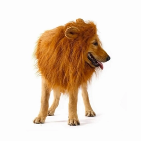 Vetopia Costume - Lion Head Hood