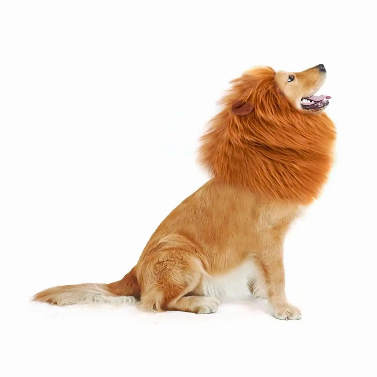 Vetopia Costume - Lion Head Hood