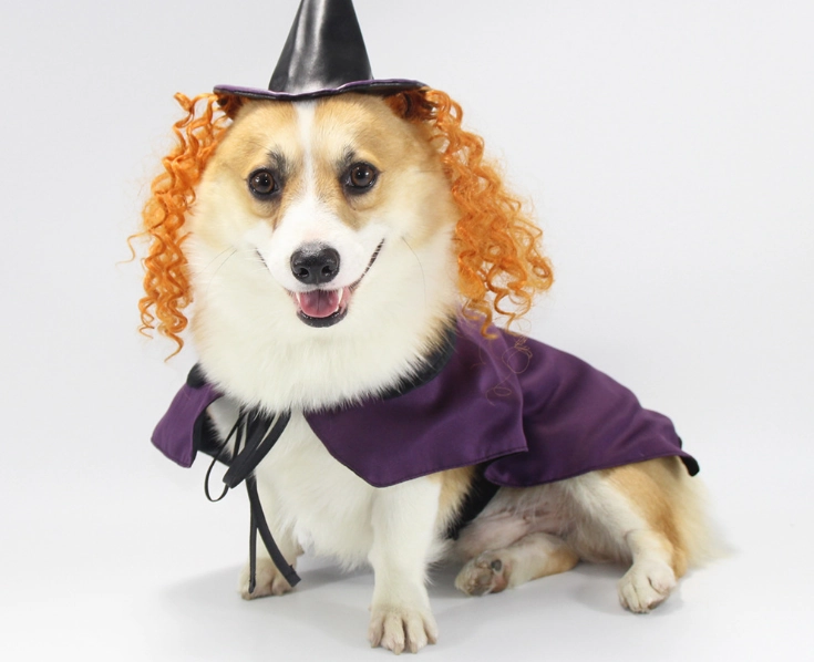Vetopia Costume - Purple Witch