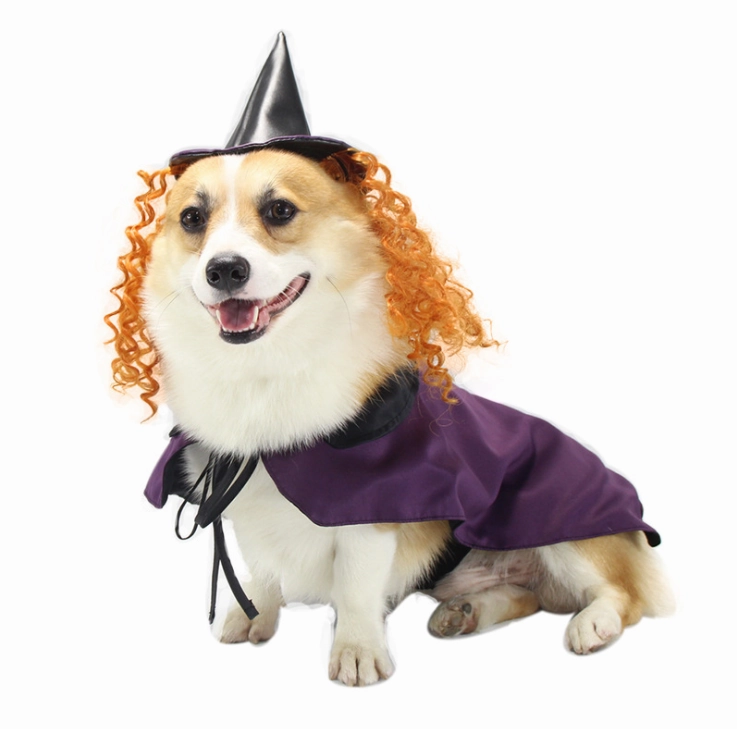 Vetopia Costume - Purple Witch
