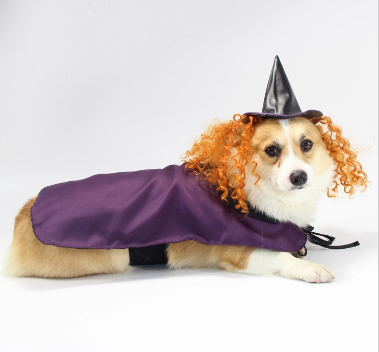 Vetopia Costume - Purple Witch