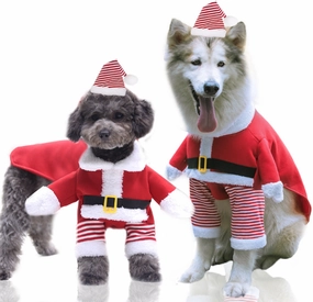 Vetopia Costume - Santa Claus