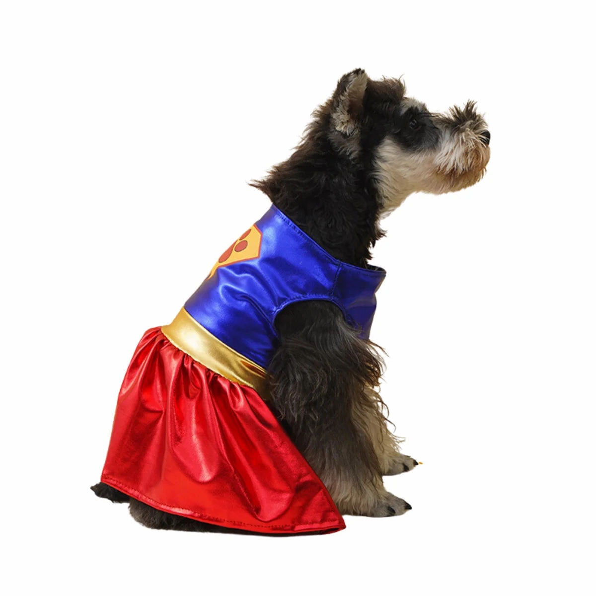 Vetopia Costume - Super Woman