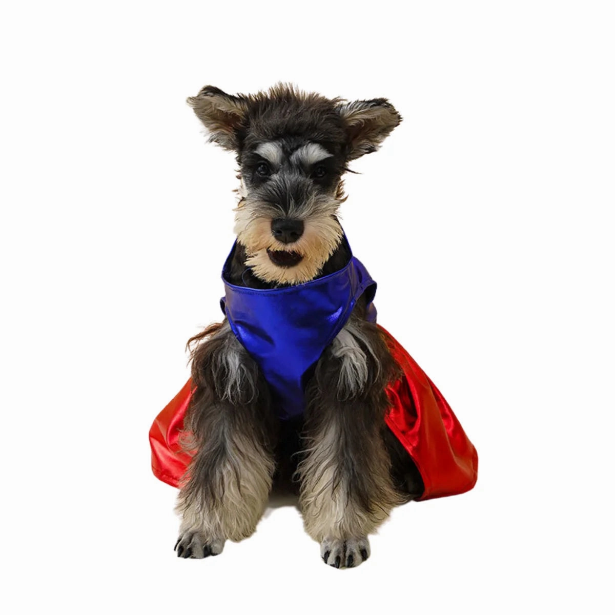 Vetopia Costume - Super Woman