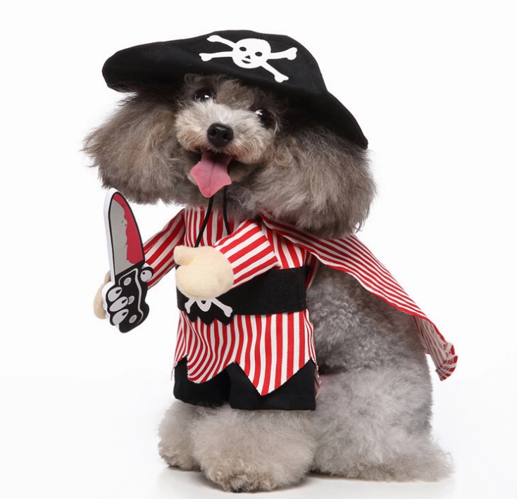 Vetopia Costume- Pirate
