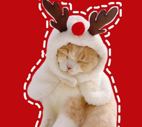 Vetopia Costume -White Reindeer
