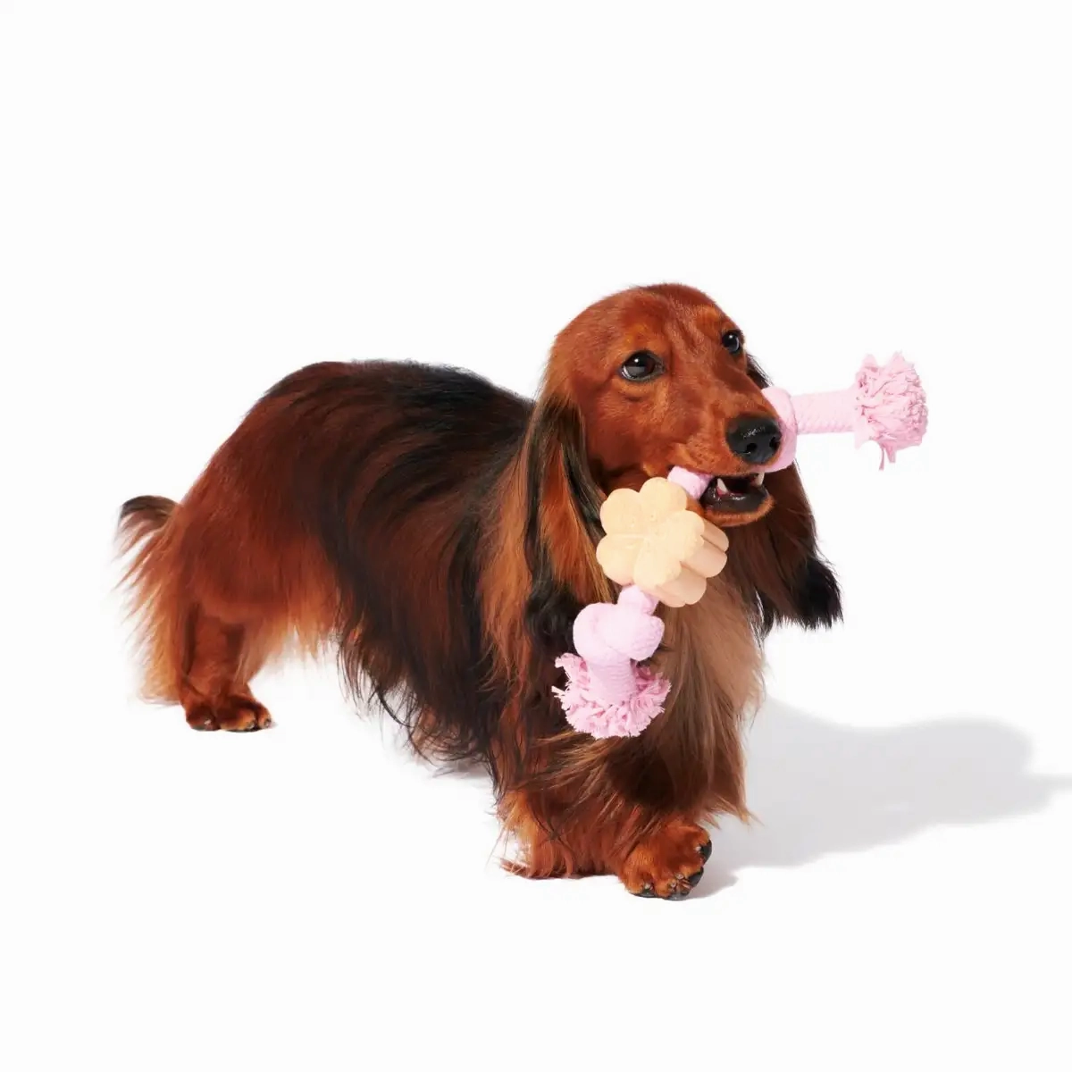 Vetreska - Cherry Blossom Knot Rope Toy