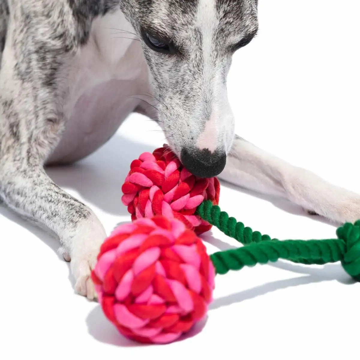 Vetreska - Cherry Knot Rope Toy