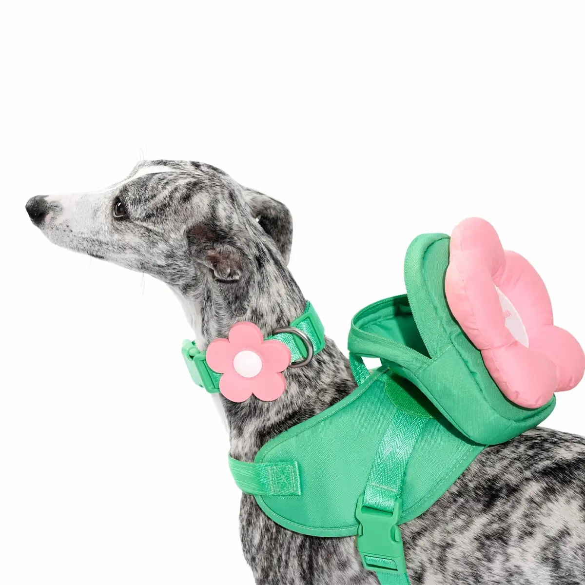 Vetreska - Flora Pet Backpack & Harness 3 in 1 Set
