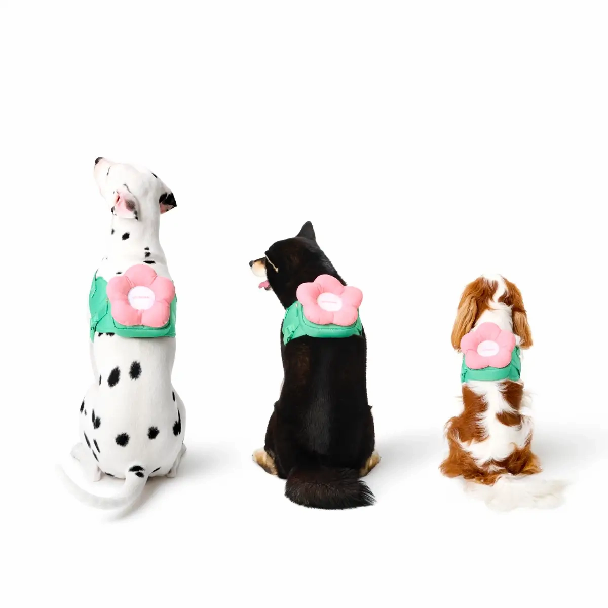 Vetreska - Flora Pet Backpack & Harness 3 in 1 Set