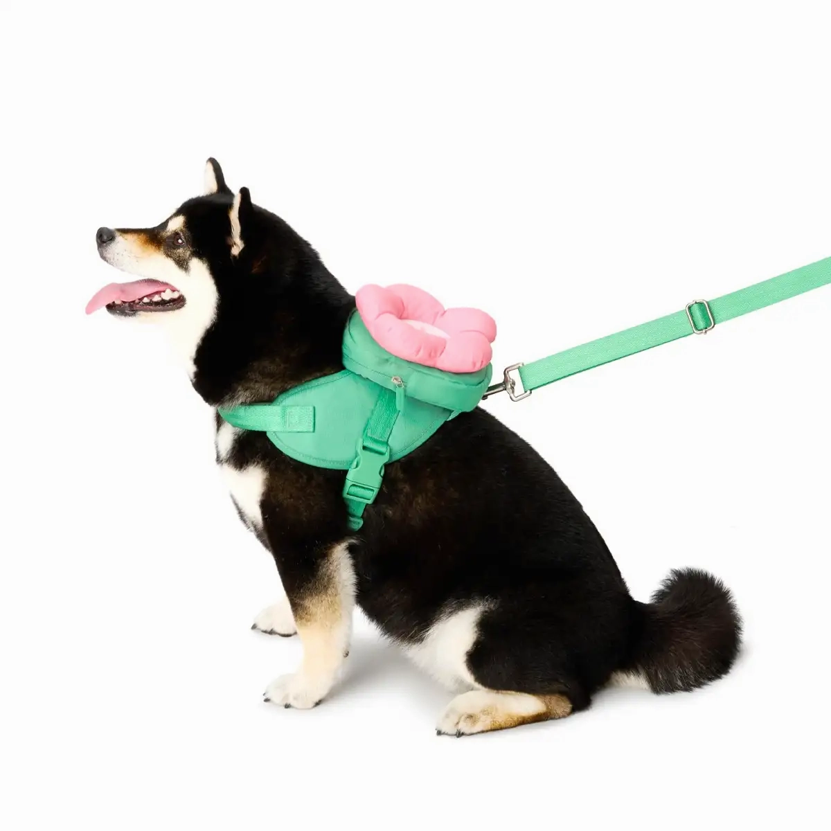 Vetreska - Flora Pet Backpack & Harness 3 in 1 Set
