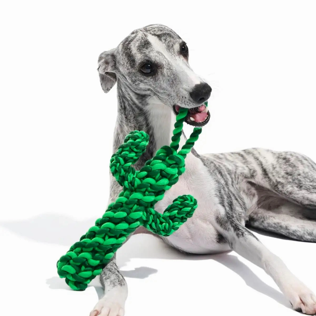 Vetreska - Oasis Cactus Knot Rope Toy