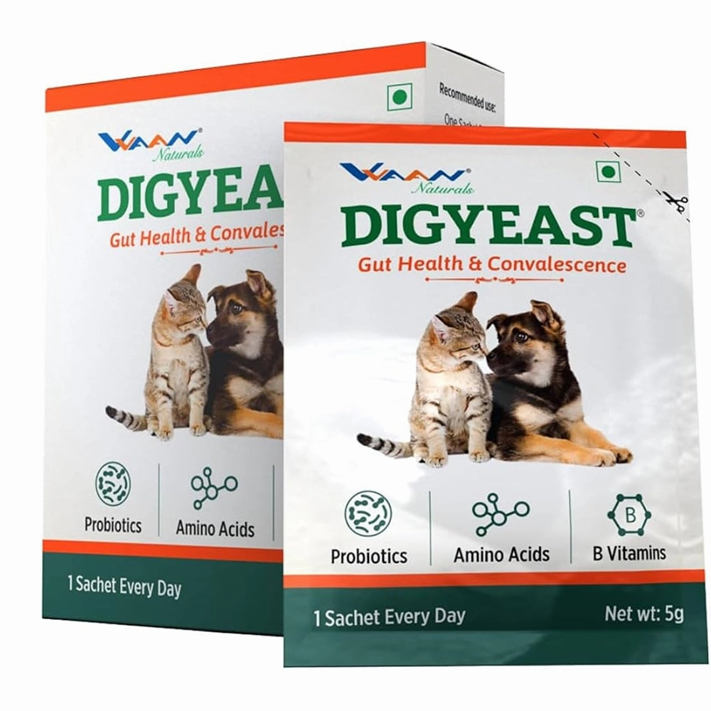 Vvaan Digyeast pouch for Dogs & Cats