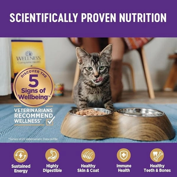 Wellness Complete Health Sliced Chicken Entree in Gravy Canned Cat Food, 3oz