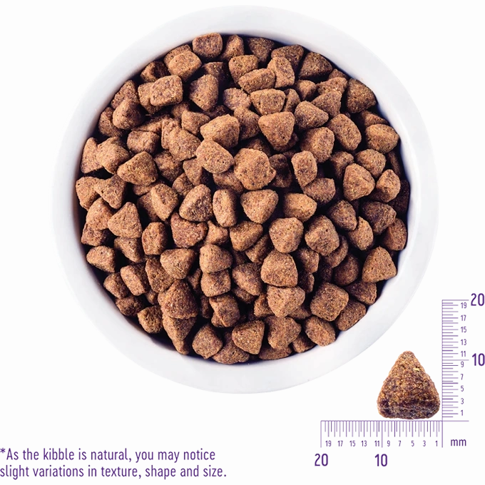 Wellness CORE - Grain Free Dog Food - Lamb Meal
