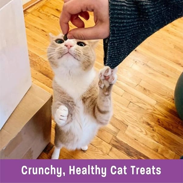 Wellness Kittles Salmon & Cranberries Cat Treats