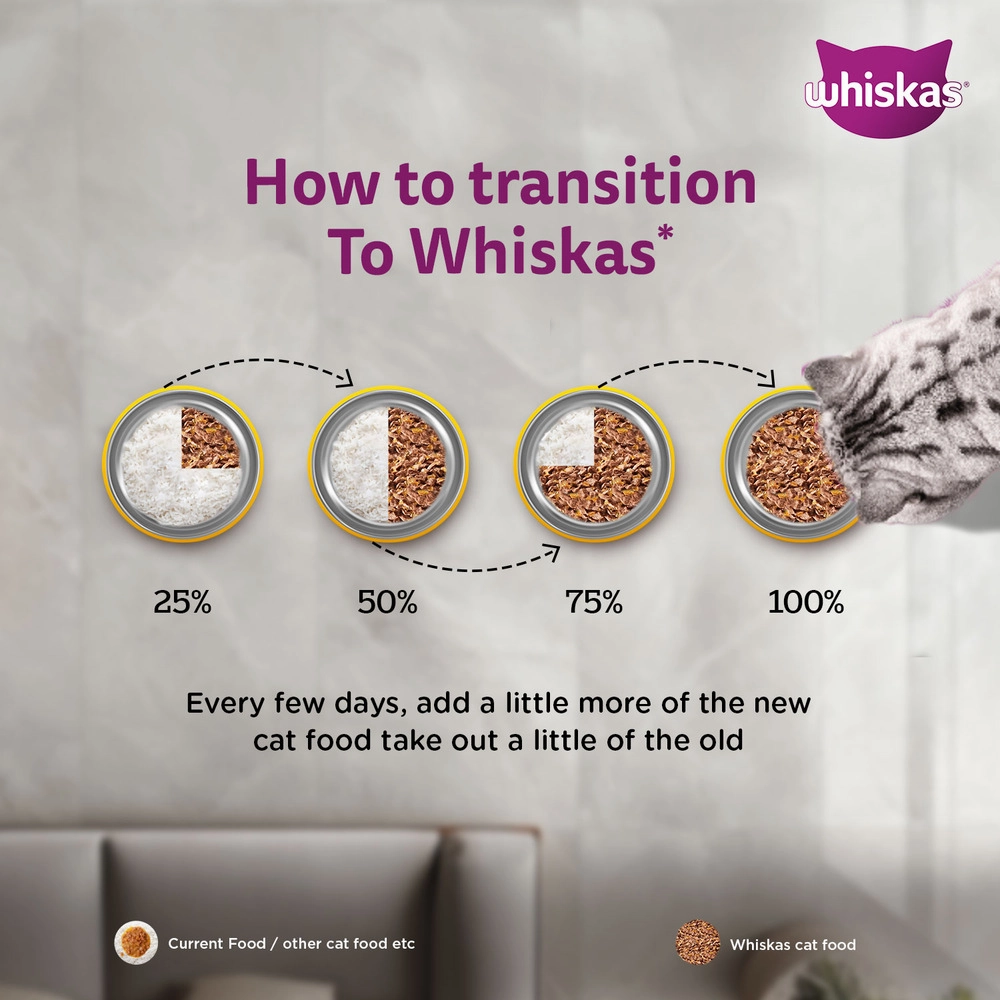 Whiskas Chicken Gravy Adult Cat Wet Food