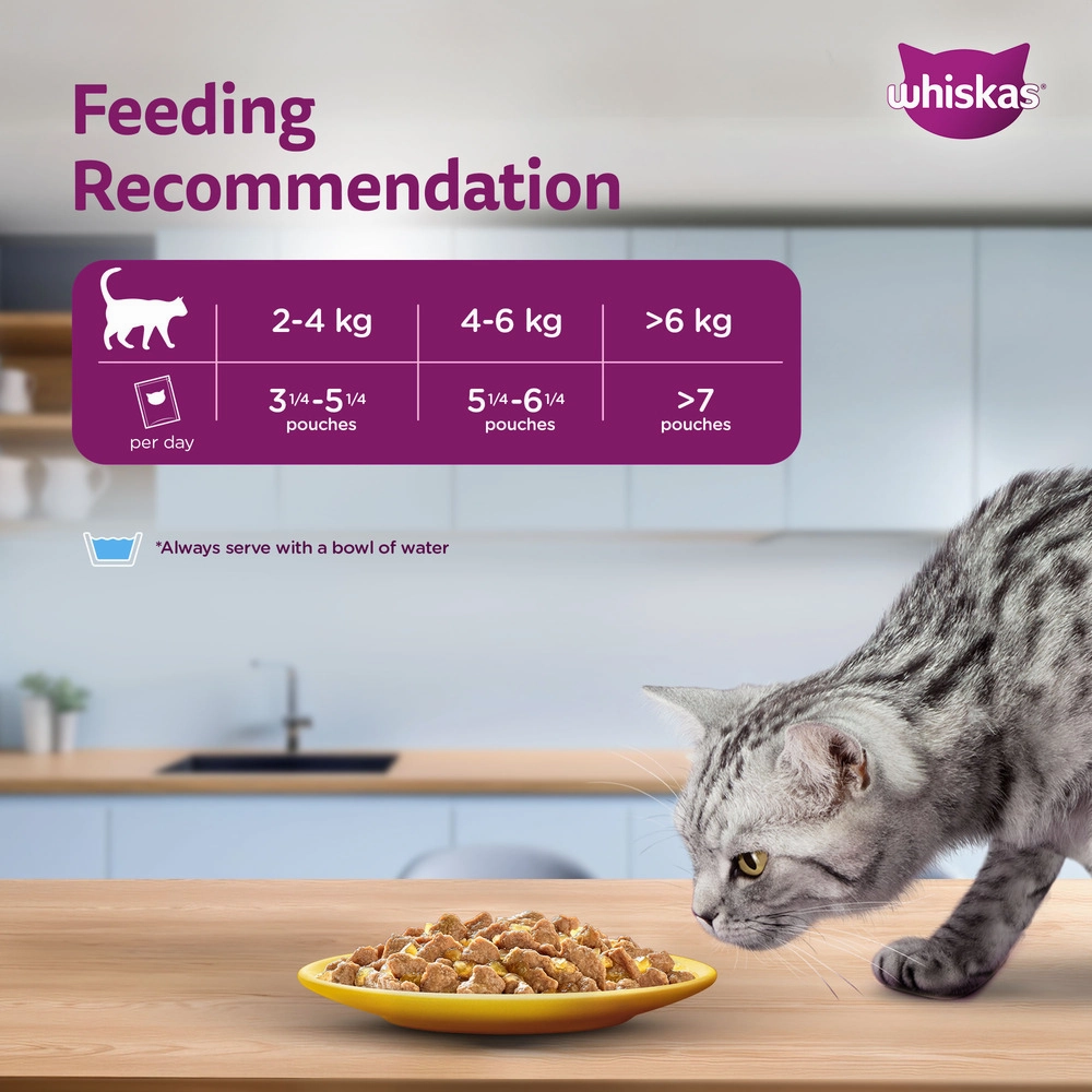 Whiskas Chicken Gravy Adult Cat Wet Food