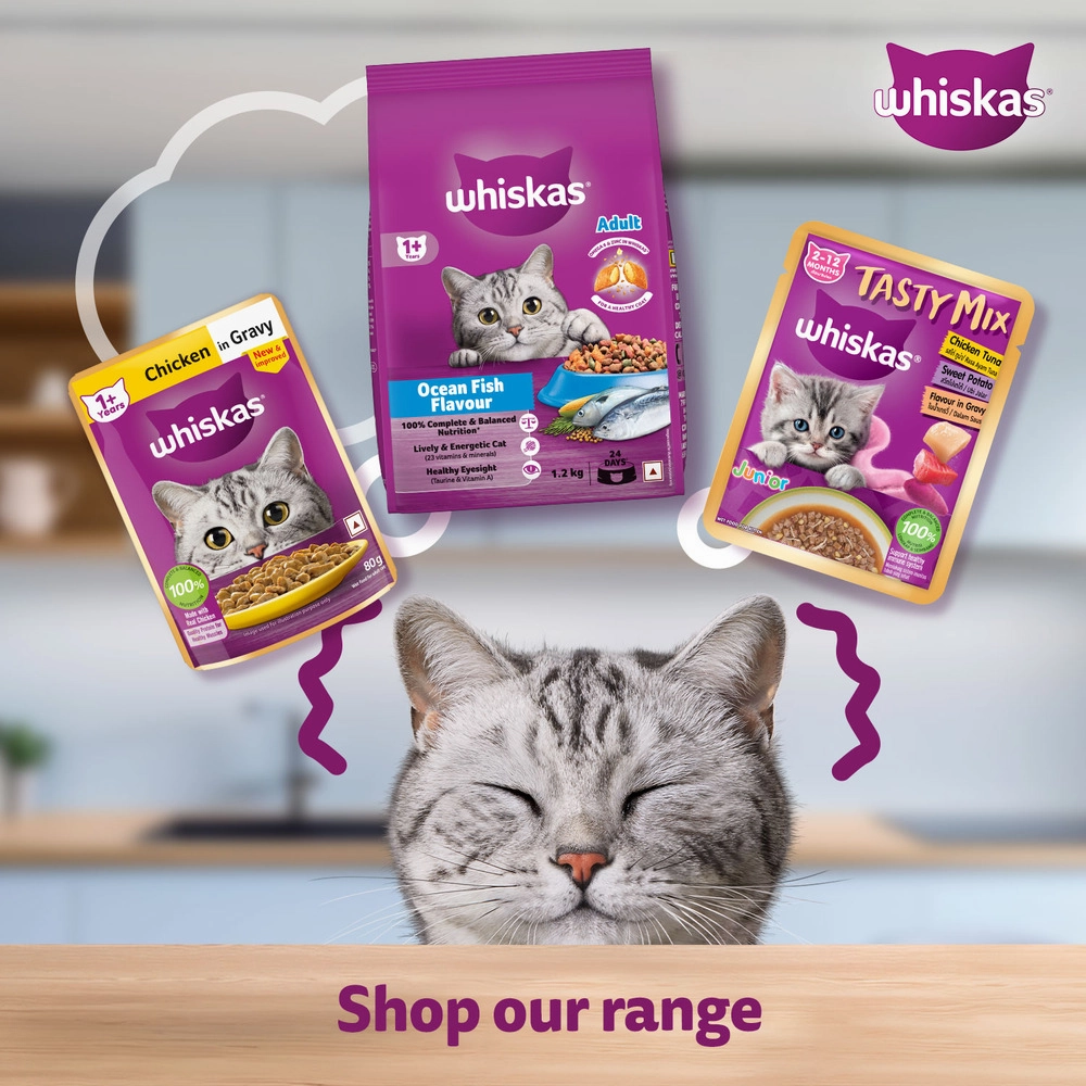 Whiskas Chicken Gravy Adult Cat Wet Food
