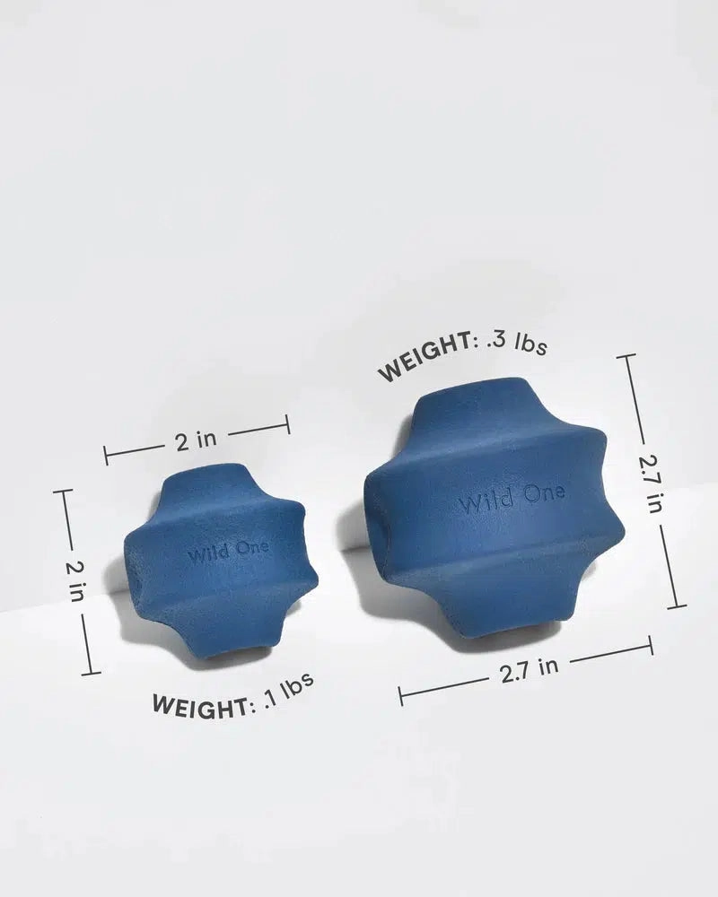 Wild One Navy Twist Toss Dog Toy