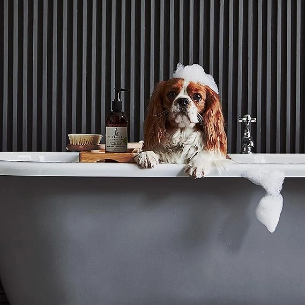 WildWash Shampoo For Dark or Greasy coats for Dogs and Cats