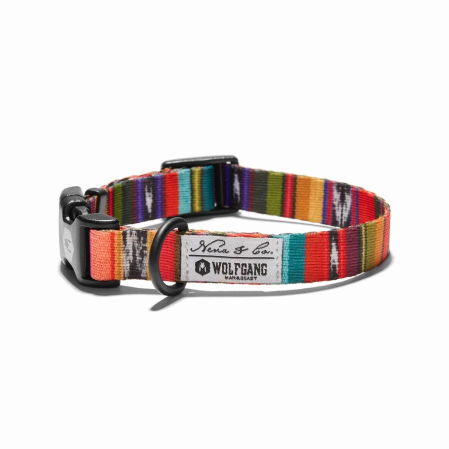 Wolfgang Dog Collar