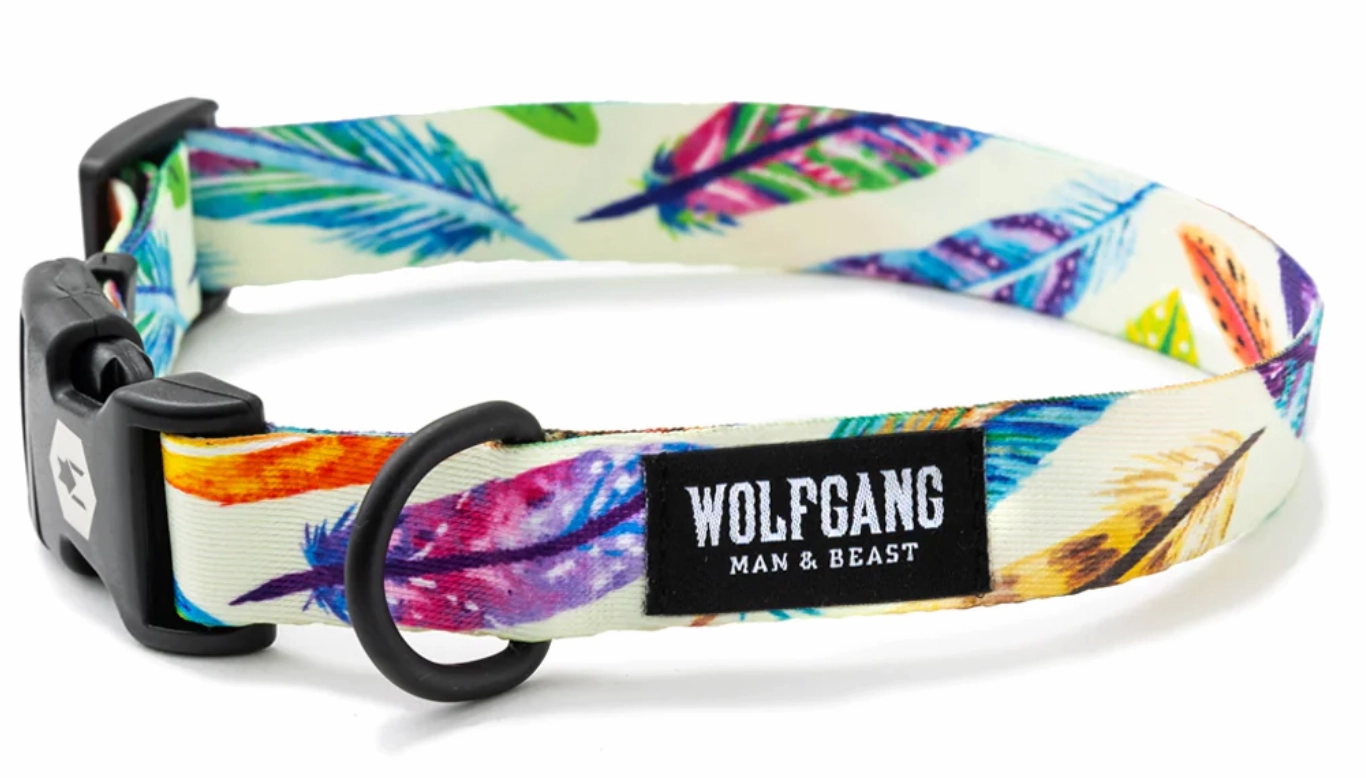 Wolfgang Dog Collar