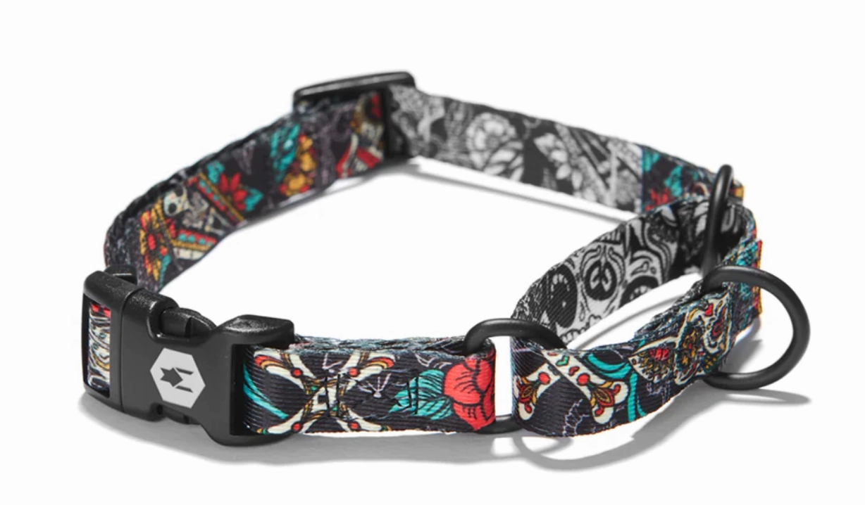 Wolfgang Dog Collar