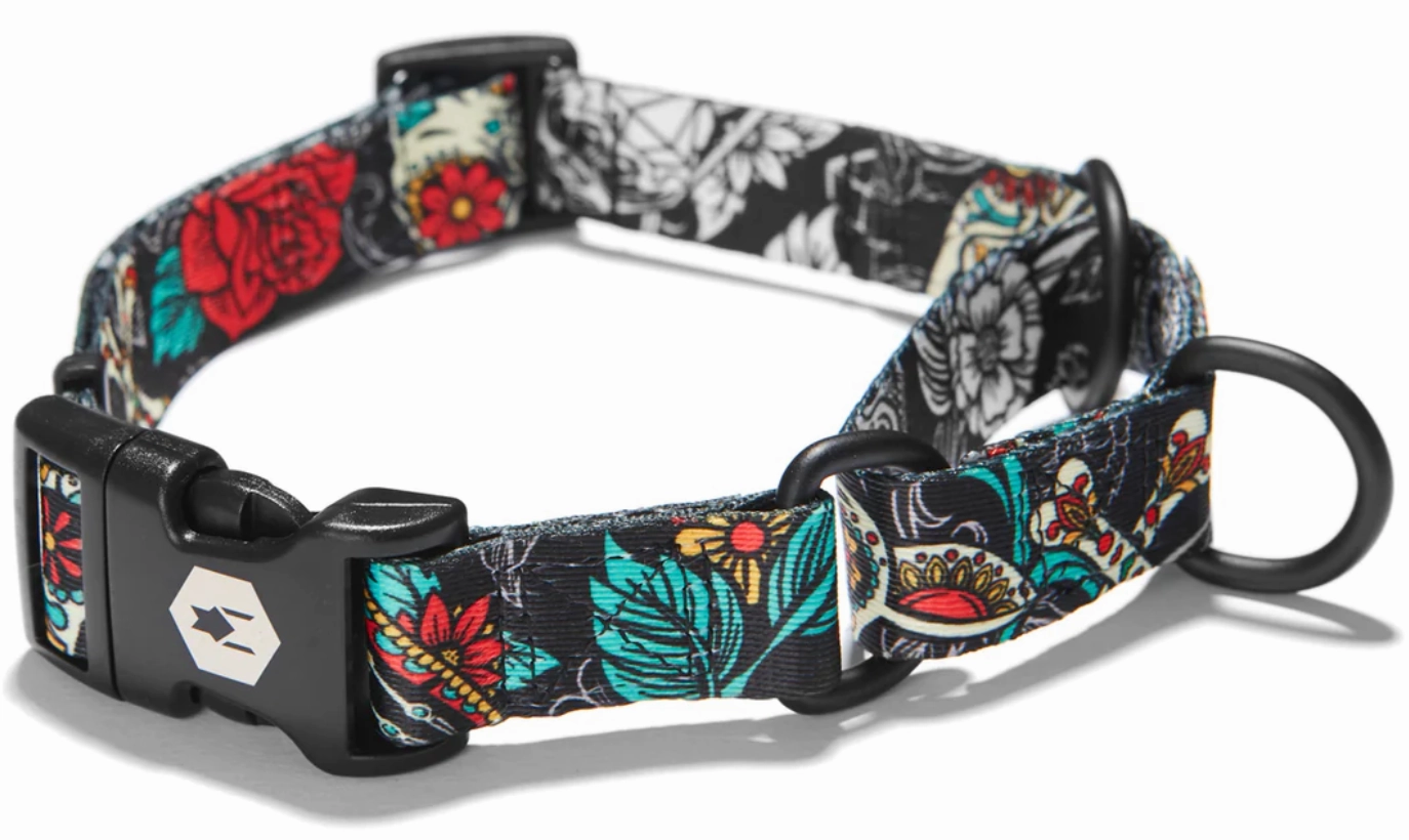 Wolfgang Dog Collar