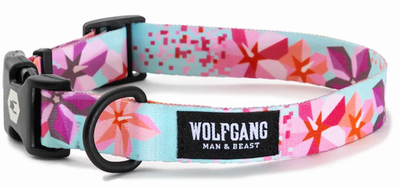 Wolfgang Dog Collar